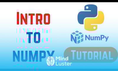 Python numpy
