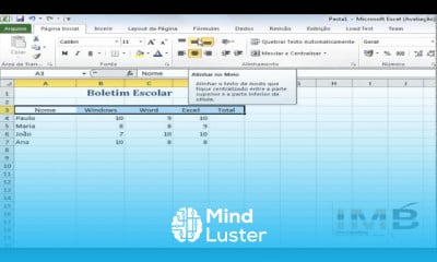 Microsoft excel básico