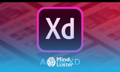 Fundamentos de adobe XD