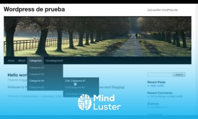 Cómo hacer y modificar menús en wordPress