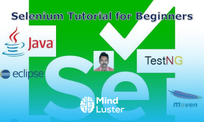 Selenium basics for beginners