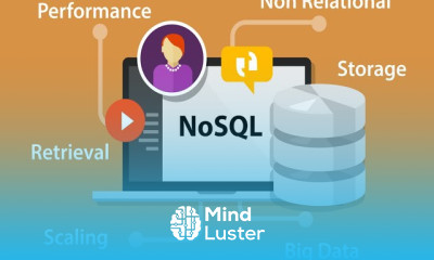 Popular database management systems