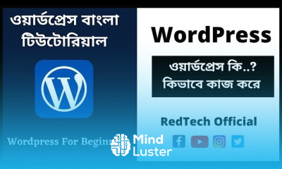 নতুনদের জন্য wordPress dashboard