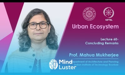 Urban ecosystem fundamentals