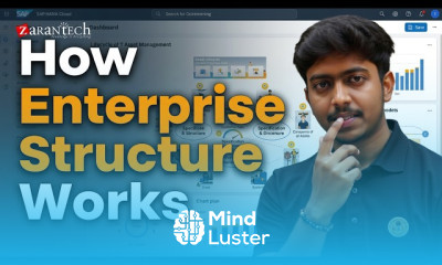 SAP public cloud asset management