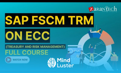 SAP FSCM Treasury and Risk Management
