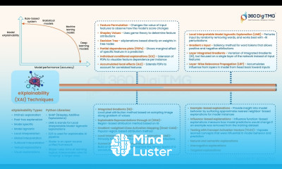 Explainability Techniques | 360DigiTMG