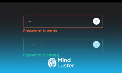 How To Show Password Strength Using HTML CSS And JavaScript on Website