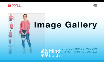 How To Make Image Gallery In HTML CSS JavaScript | Create Image Gallery In HTML Website