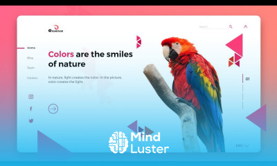 Learn UI UX Design | Website UI Design Tutorial 2019 | Web Design ...