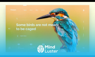 Website Design Tutorial | UI UX Designing Tutorial In Adobe XD | Amazing Web Design