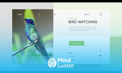 Latest Website UI Design In Adobe XD | Web Design With Free UI Design Tool