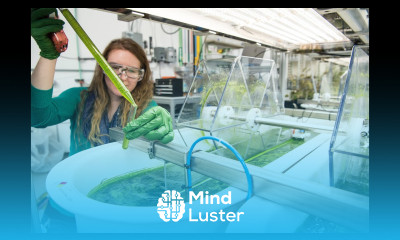 Advantages of Membrane Technologies Why are Membranes so Attractive Lec100