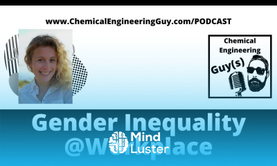 Perspective of a Chemical Engineer on Gender Inequalities and Challenges Workplace Ivana Lucek