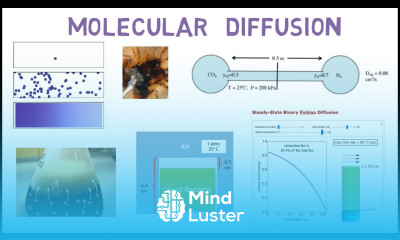 Section 3 Overview Molecular Diffusion in Mass Transfer Lec109