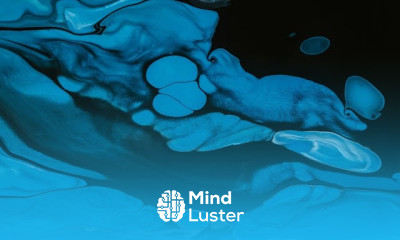 The Concept of Velocity and Mass Velocity in Mass Transfer Lec117