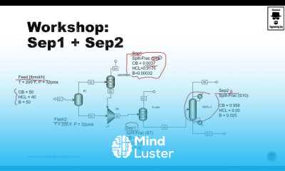 Workshop Mass Balances with Sep1 and Sep2 Lec074