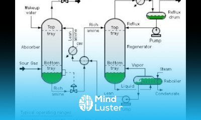 Amine Gas Treating Sweetening of Sour Gas Lec048