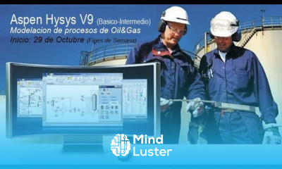 Flash Separator in Aspen HYSYS Lec29