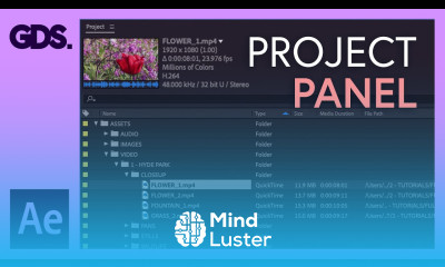 The Project Panel ‘Links panel In Adobe After Effects Ep5 48 Adobe After Effects for Beginners