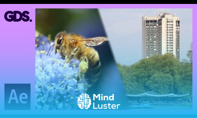 Transition Presets in After Effects Ep20 48 Adobe After Effects for Beginners