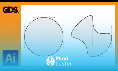 Vector basics | Selection Direct selection tool more Ep4 19 Adobe Illustrator for Beginners