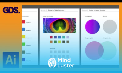 Using Colour | Swatches | Pantone s | Gradients more Ep6 19 Adobe Illustrator for Beginners