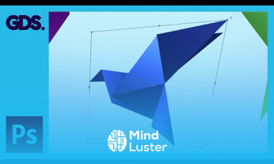 Transform tools in Adobe Photoshop Ep11 33 Adobe Photoshop for Beginners