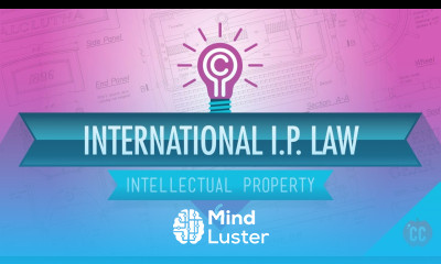International IP Law Crash Course Intellectual Property 6