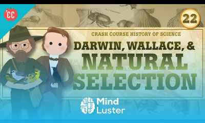 Darwin and Natural Selection Crash Course History of Science 22