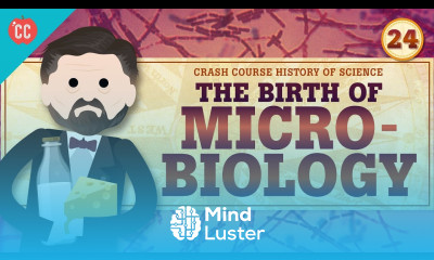 Micro Biology Crash Course History of Science 24
