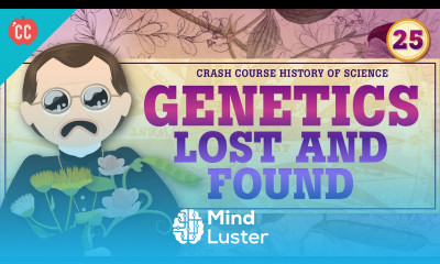 Genetics Lost and Found Crash Course History of Science 25