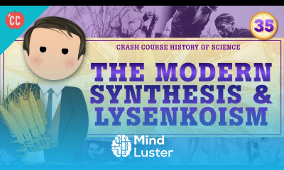 Genetics and The Modern Synthesis Crash Course History of Science 35