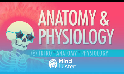 Introduction to Anatomy Physiology Crash Course A P 1