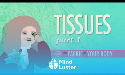 Tissues Part 1 Crash Course A P 2