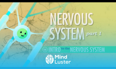 The Nervous System Part 1 Crash Course A P 8