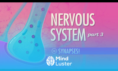 The Nervous System Part 3 Synapses Crash Course A P 10