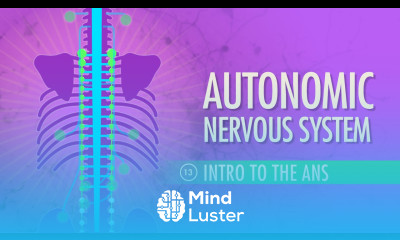 Autonomic Nervous System Crash Course A P 13