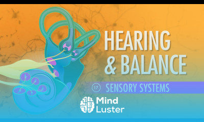 Hearing Balance Crash Course A P 17