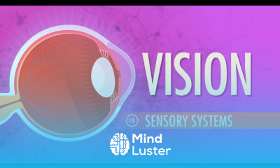 Vision Crash Course A P 18