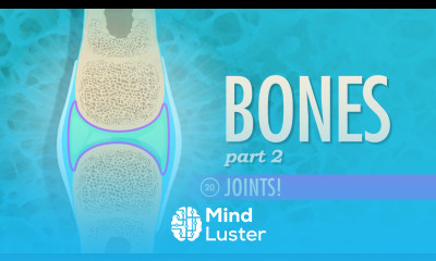 Joints Crash Course A P 20