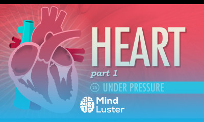 The Heart Part 1 Under Pressure Crash Course A P 25
