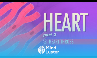 The Heart Part 2 Heart Throbs Crash Course A P 26