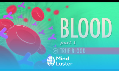 Blood Part 1 True Blood Crash Course A P 29