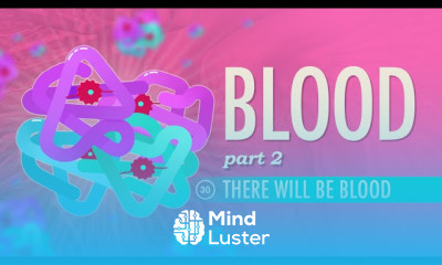 Blood Part 2 There Will Be Blood Crash Course A P 30