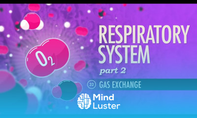 Respiratory System Part 2 Crash Course A P 32