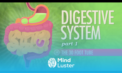 Digestive System Part 1 Crash Course A P 33
