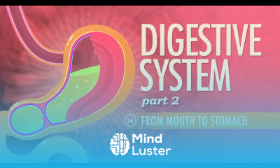 Digestive System Part 2 Crash Course A P 34