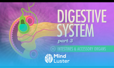 Digestive System Part 3 Crash Course A P 35