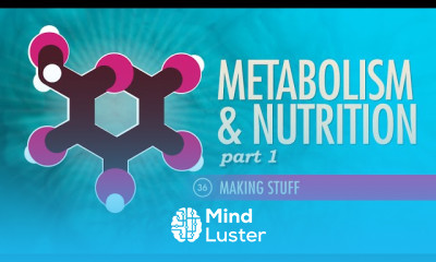 Metabolism Nutrition Part 1 Crash Course A P 36